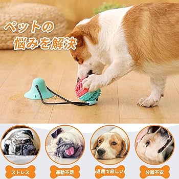 C106 舐めた犬 まとめ本　マスコット　セット Pet Select by Nihonikuji (新商品) (メール便 送料無料) ペット